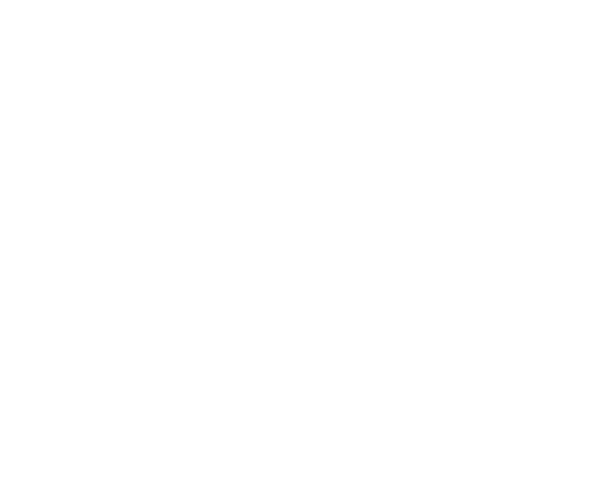Sri Yoga Ashram Rishikesh