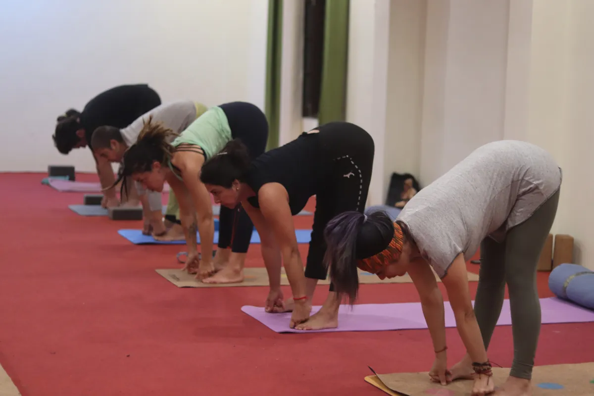 Yoga teacher training students folding forward during a guided class in Rishikesh