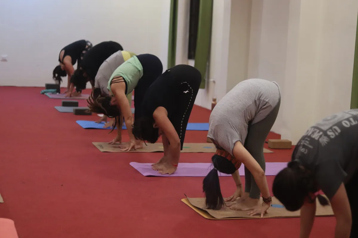 Group yin yoga class practising together in the yoga hall at Sri Yoga Ashram, Rishikesh