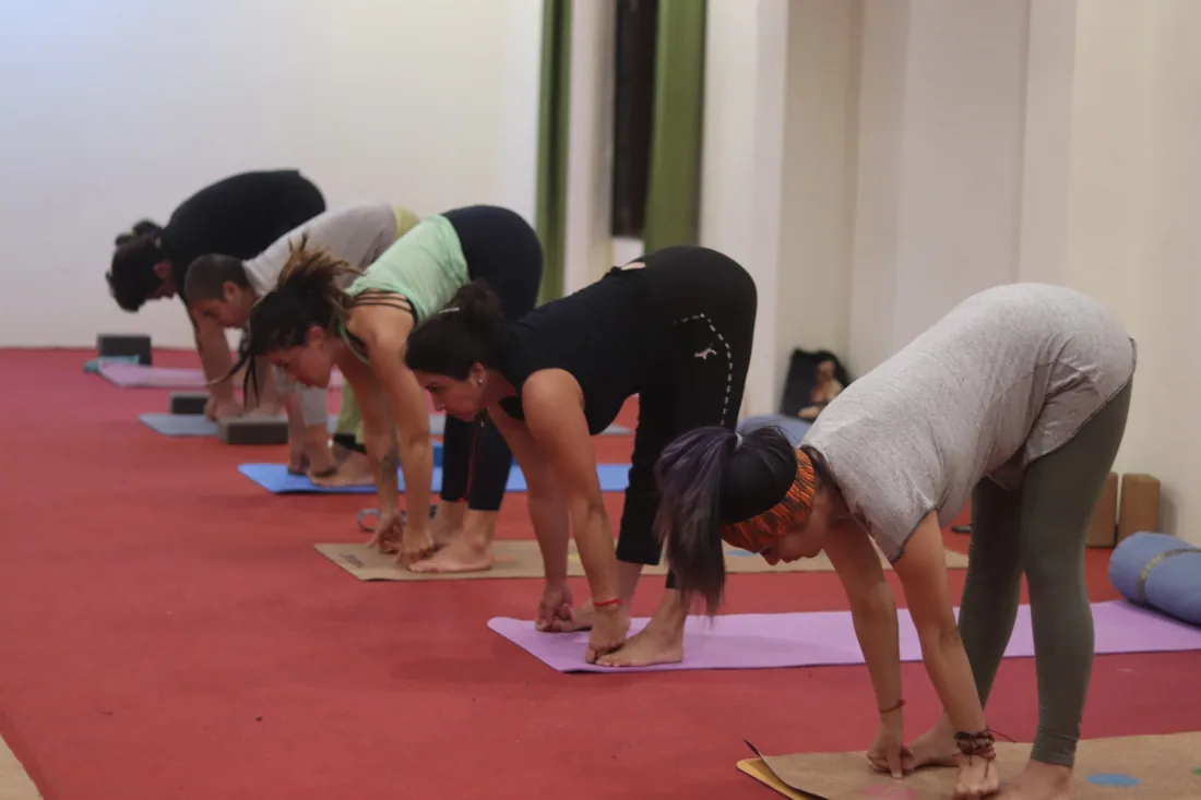 Row of students in standing forward bend during a morning yoga class in Rishikesh