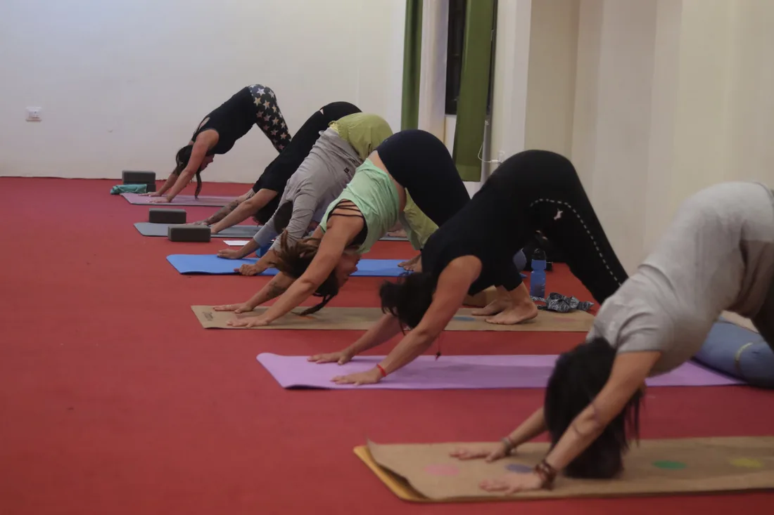Yoga students holding downward dog pose in the Sri Yoga Ashram practice hall